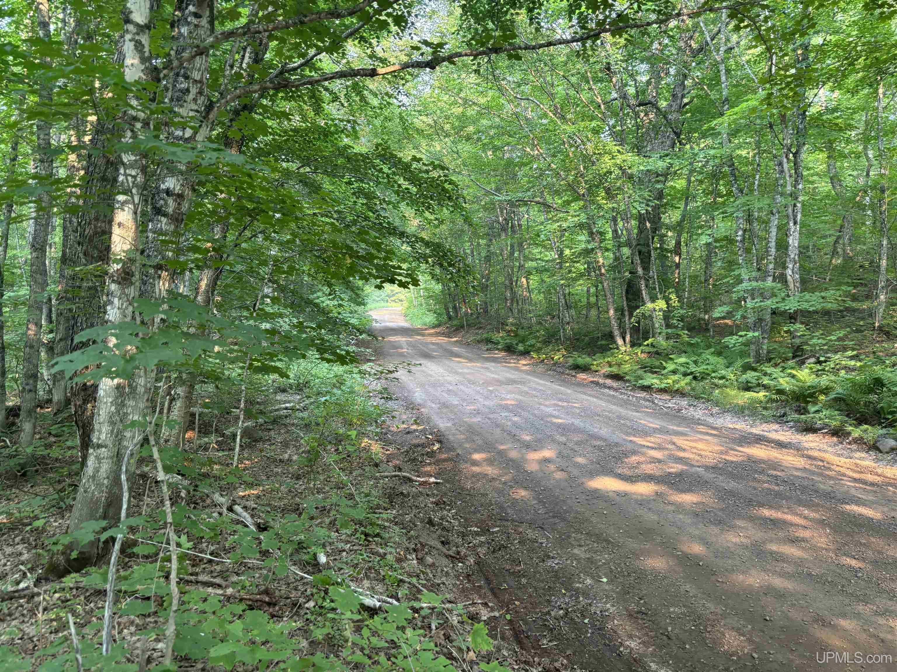 Tbd South Mandan Road Copper Harbor, MI 49918 - Photo 17 of 17 Gallery Image 17
