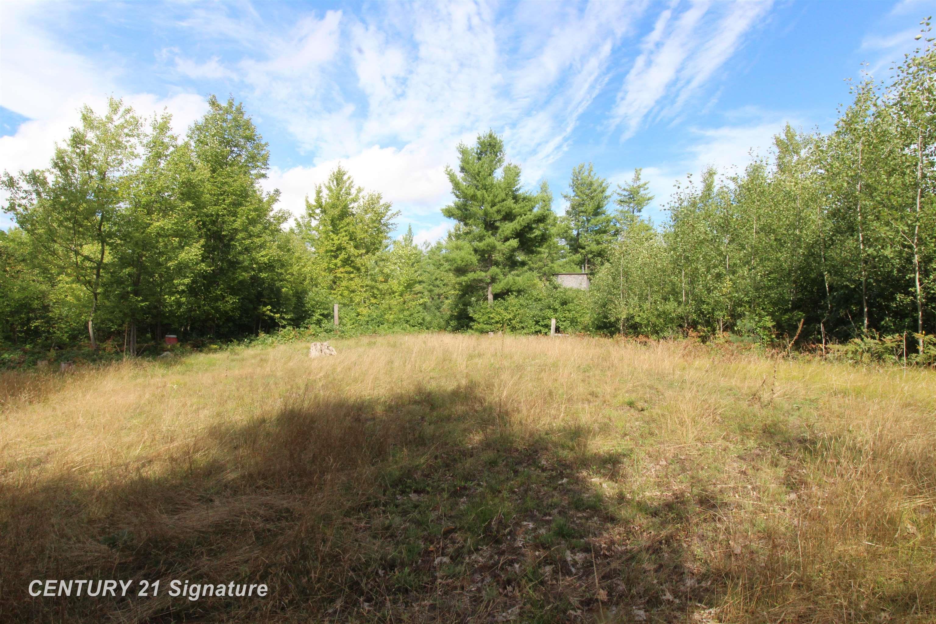 6595 Wickert Road Hale, MI 48739 - Photo 22 of 23 Open Field by Deer Blind