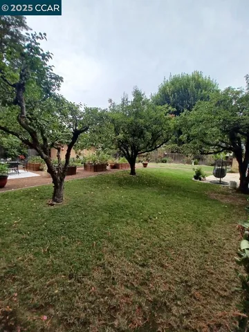 a view of a garden with a tree