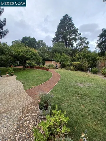 a view of a park with plants and trees