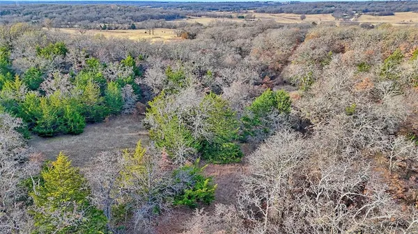 a view of a pathway with a yard
