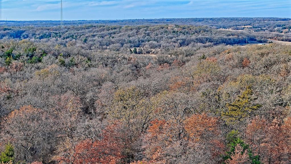 0 Carminati Road Montague, TX 76251 - Photo 21 of 39 a view of a dry yard with green space and fog