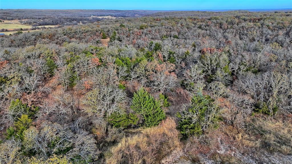 0 Carminati Road Montague, TX 76251 - Photo 23 of 39