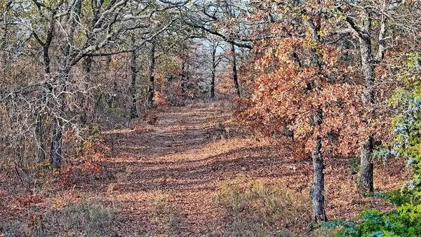 a view of a forest with trees and houses