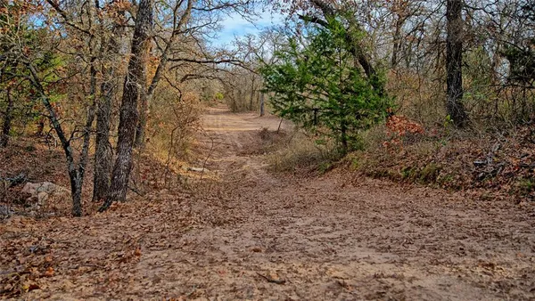 a view of a yard with a dry plant
