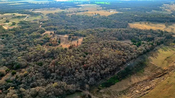 a street sign under a large tree