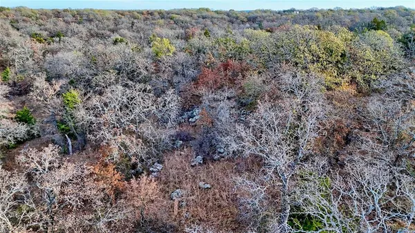 a view of a dry yard with trees