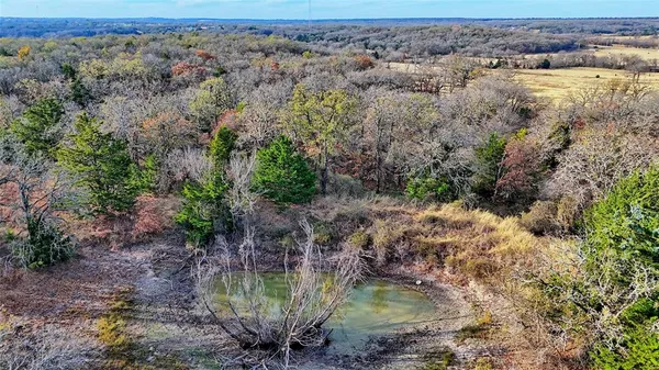 a view of a lake with a mountain