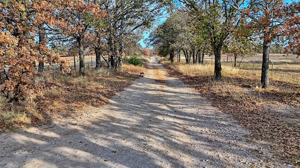 0 Carminati Road Montague, TX 76251 - Photo 34 of 39 a view of outdoor space with trees