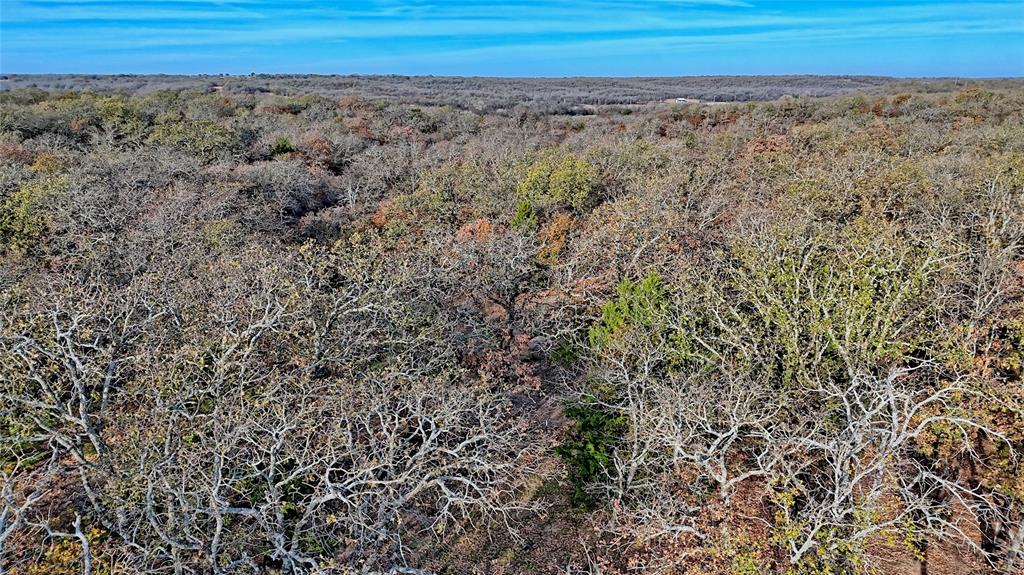 0 Carminati Road Montague, TX 76251 - Photo 5 of 39 a view of a dry yard with wooden fence