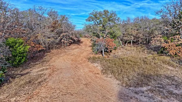 a view of a yard with a tree