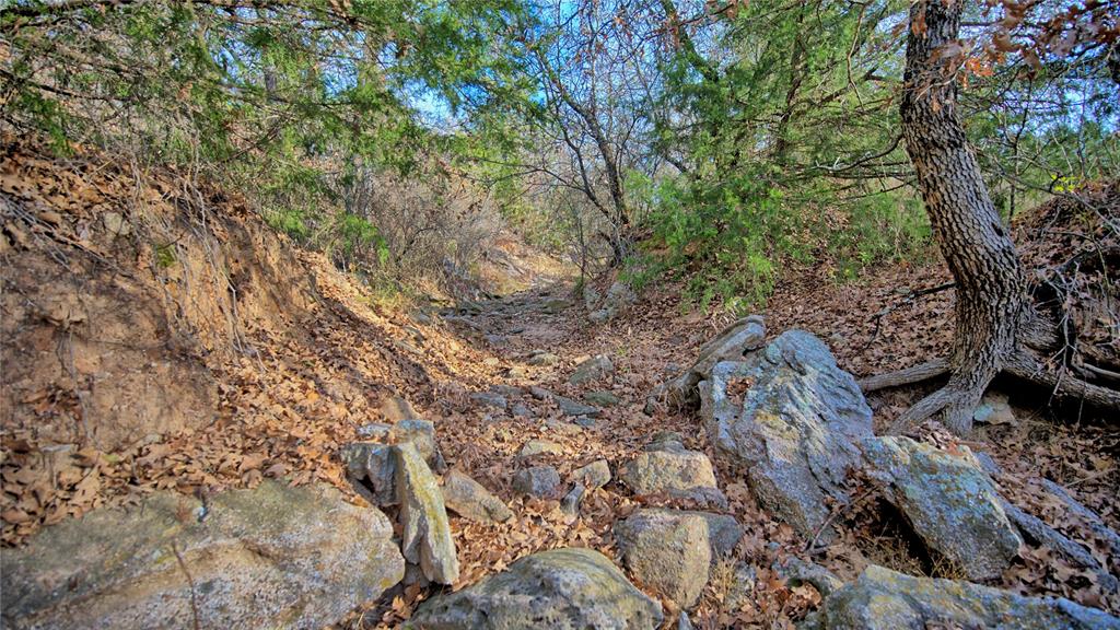 0 Carminati Road Montague, TX 76251 - Photo 8 of 39 a view of a forest with a tree