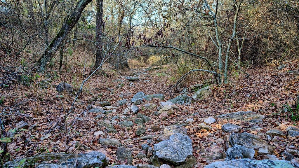 0 Carminati Road Montague, TX 76251 - Photo 9 of 39 a backyard of a house with lots of green space
