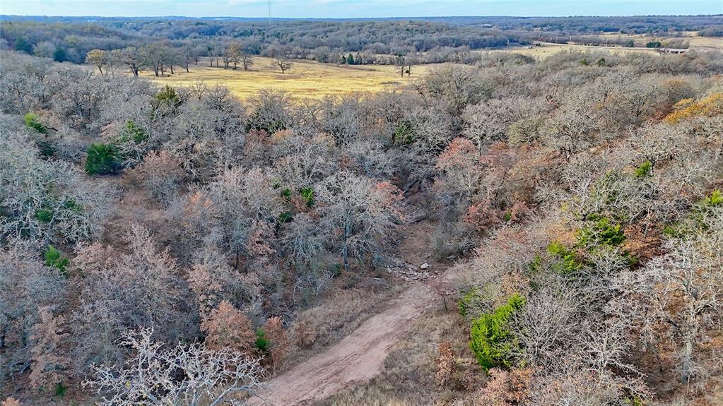 0 Carminati Road Montague, TX 76251 - Photo 10 of 39 a view of a dry yard with wooden floor