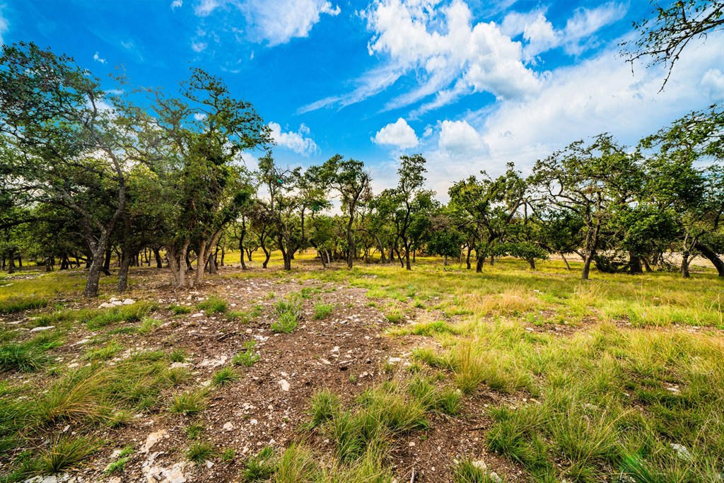 Lot 20 Reservation Road, Unit 20 Harper, TX 78631 - Photo 4 of 5 Gallery Image 4