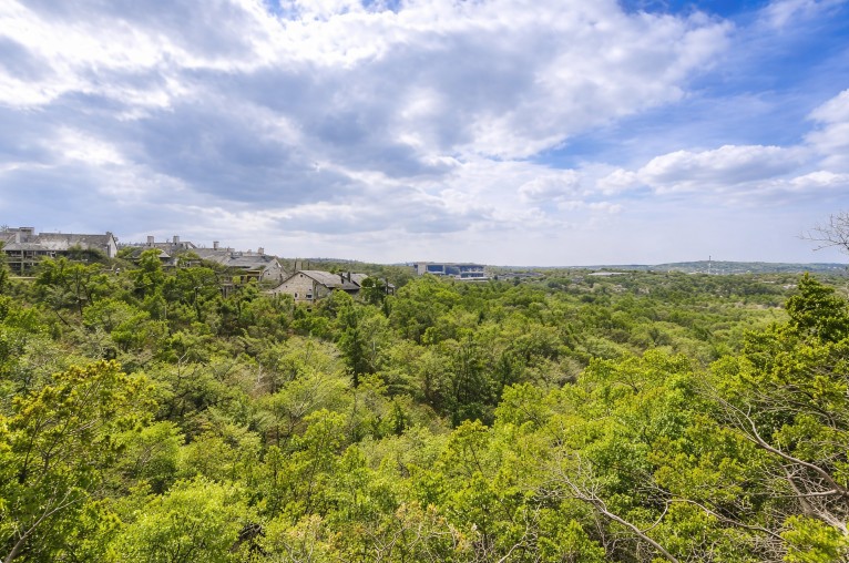 8200 Neely Drive, Unit 214 Austin, TX 78759 - Photo 16 of 19 a view of a bunch of trees