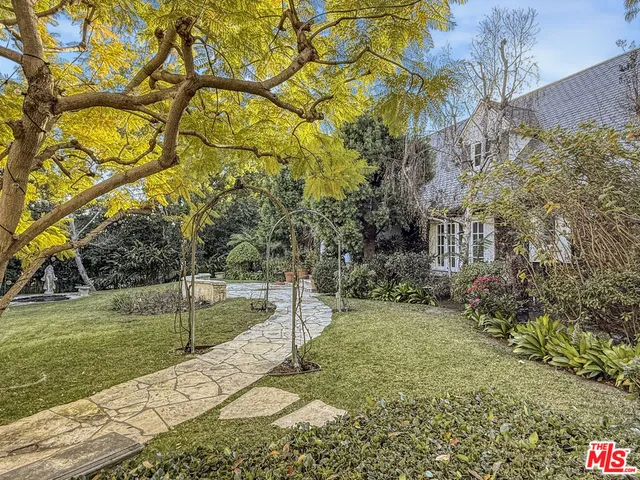 a view of a yard with plants and trees