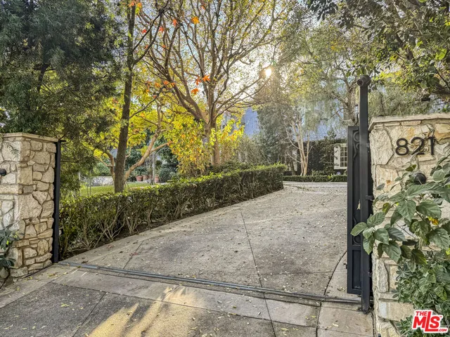 a view of a yard with plants and trees