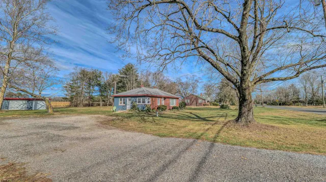 a view of a yard with plants and trees