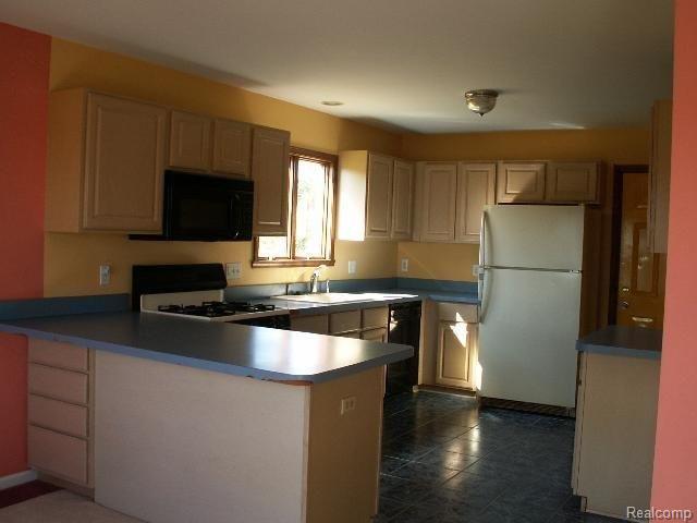 8914 Merritt Road Ypsilanti, MI 48197 - Photo 4 of 9 Kitchen