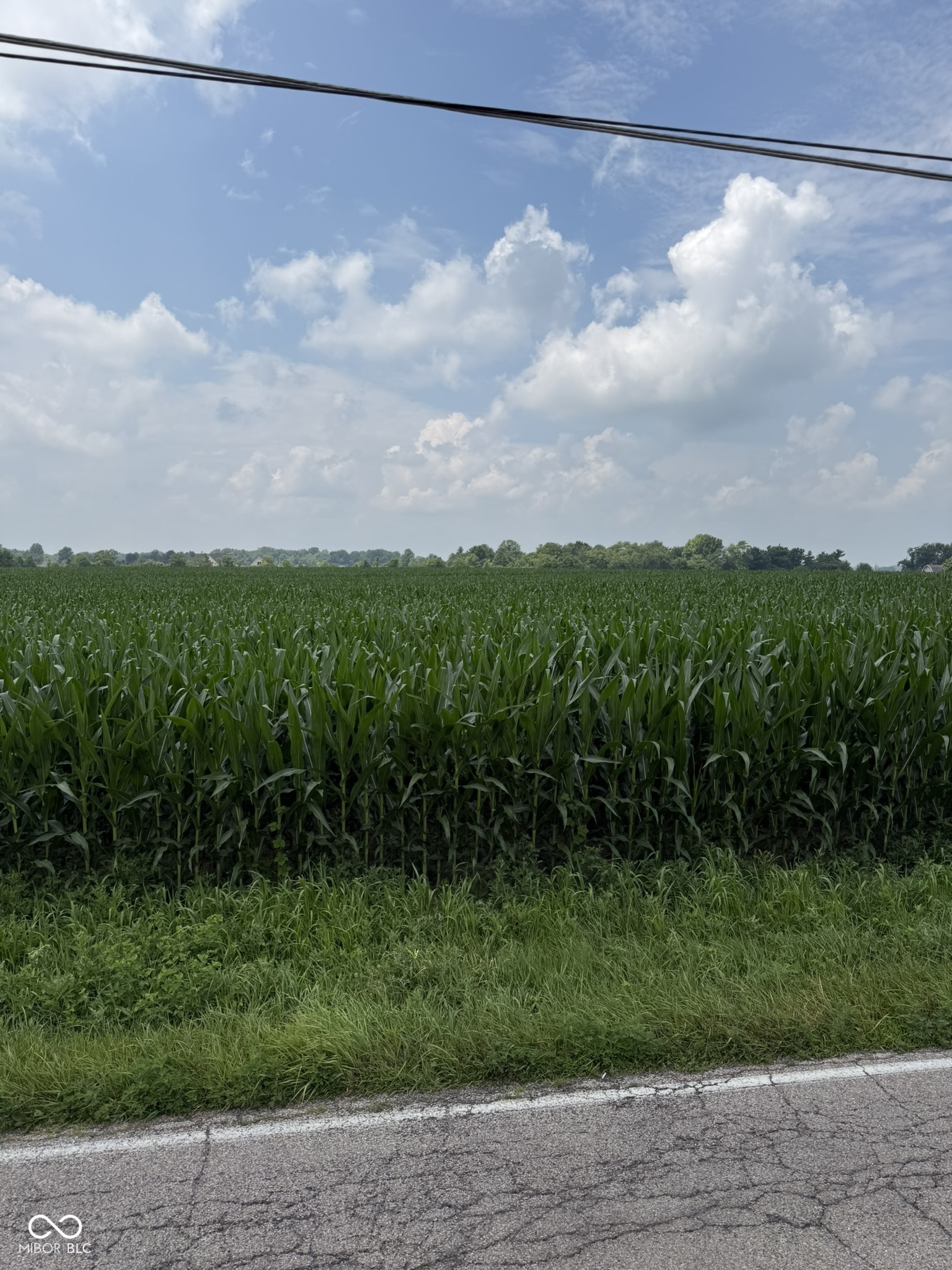 0 Morrison Road Muncie, IN 47304 - Photo 3 of 7