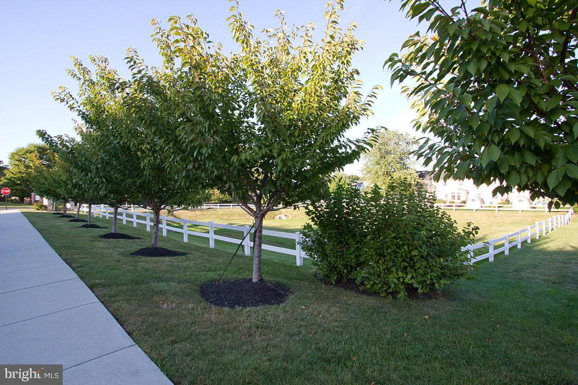 706 Keller Drive Lititz, PA 17543 - Photo 33 of 36