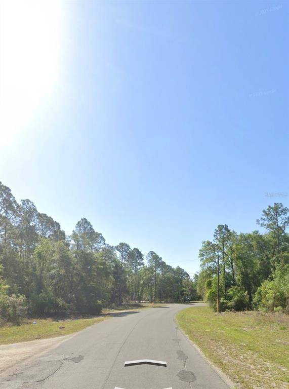 Fisher Road Ocklawaha, FL 32179 - Photo 4 of 4 Gallery Image 4