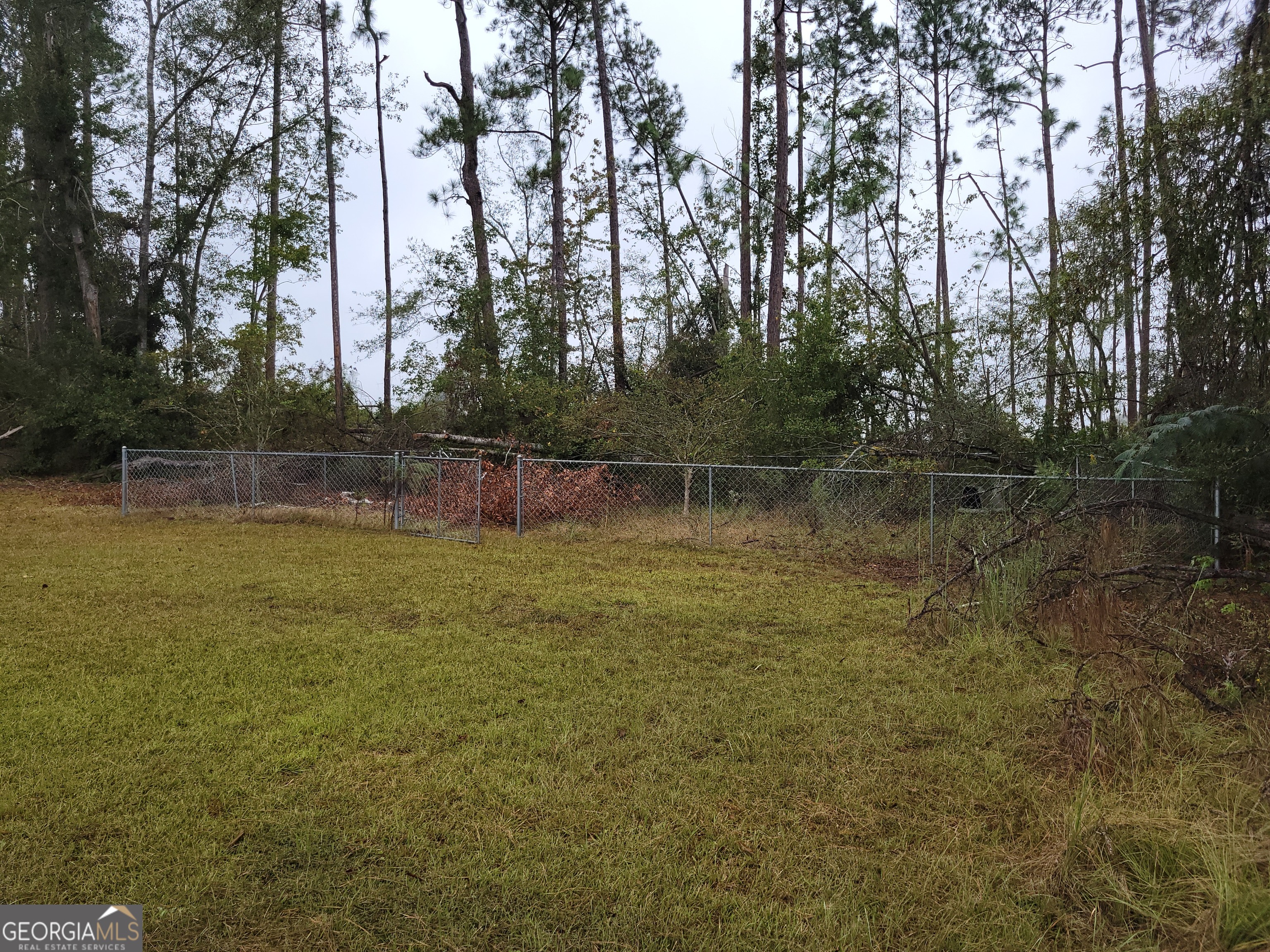 3256 Highway 29 Vidalia, GA 30474 - Photo 15 of 80