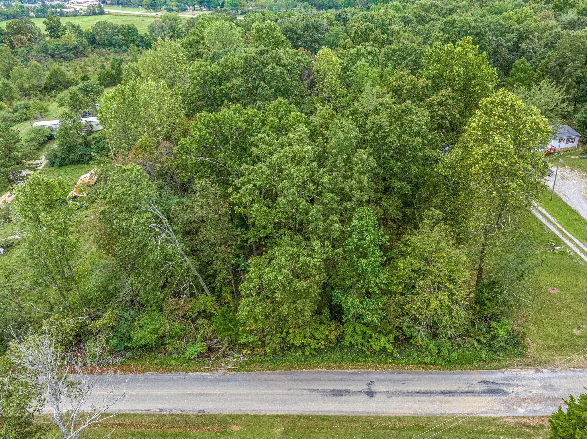 0 Moss Branch Road Bon Aqua, TN 37025 - Photo 1 of 12 a view of a yard