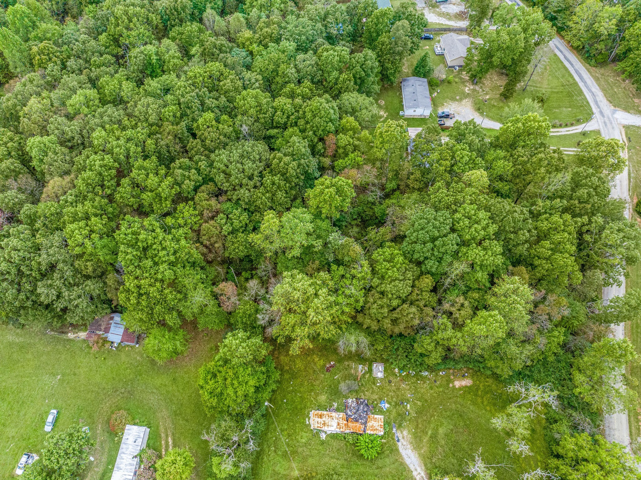 0 Moss Branch Road Bon Aqua, TN 37025 - Photo 11 of 12 a view of a big yard with plants and large trees