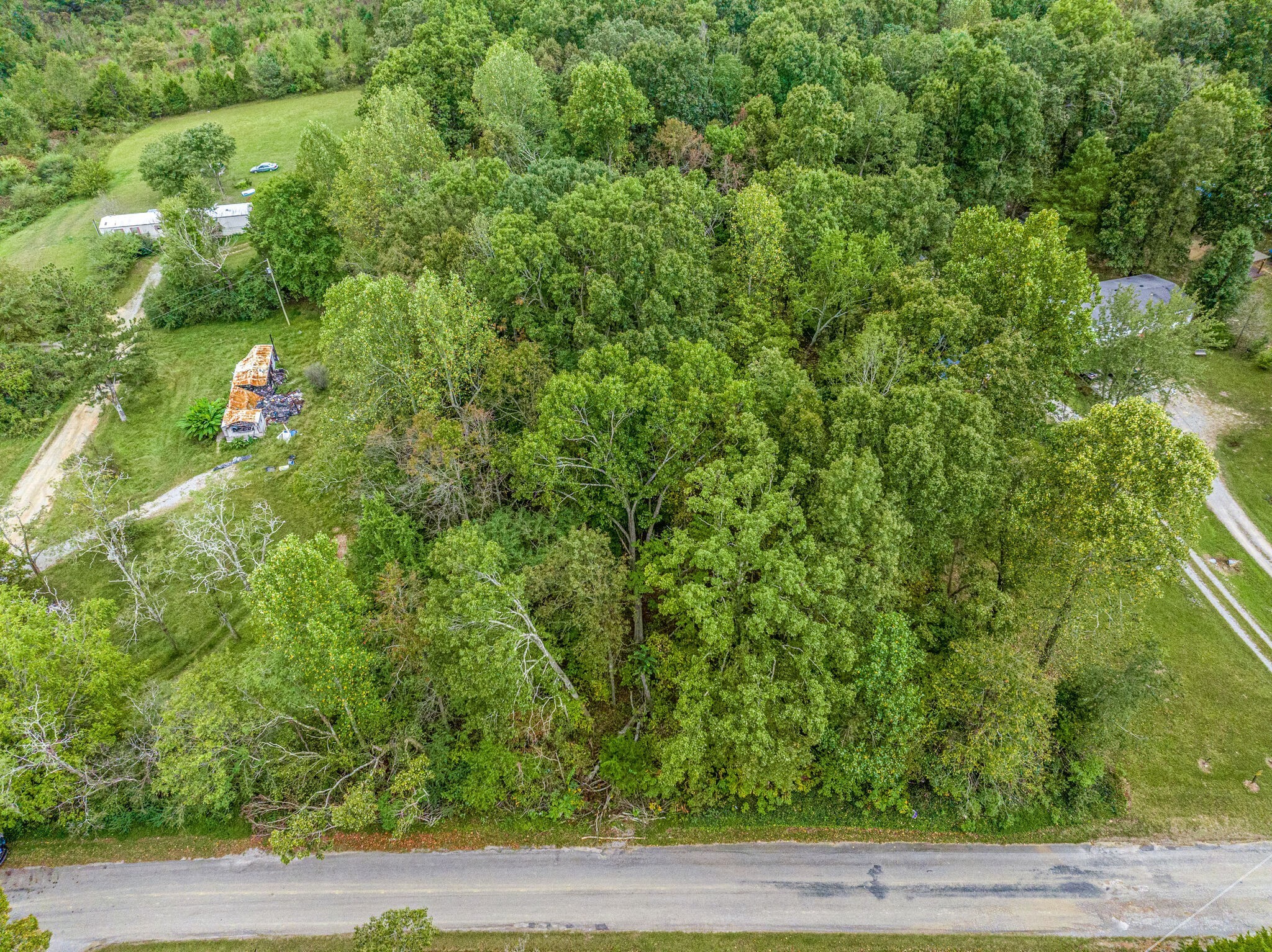 0 Moss Branch Road Bon Aqua, TN 37025 - Photo 12 of 12 a view of a yard