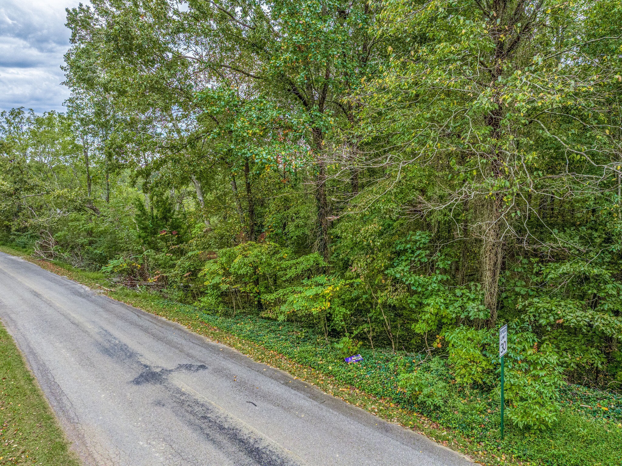 0 Moss Branch Road Bon Aqua, TN 37025 - Photo 3 of 12 a view of a garden from a window