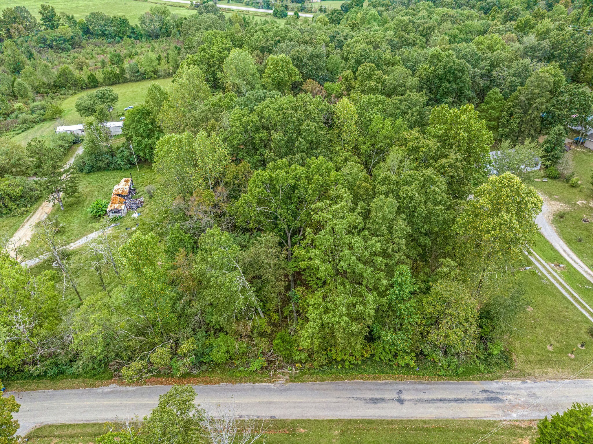 0 Moss Branch Road Bon Aqua, TN 37025 - Photo 4 of 12 a view of a yard