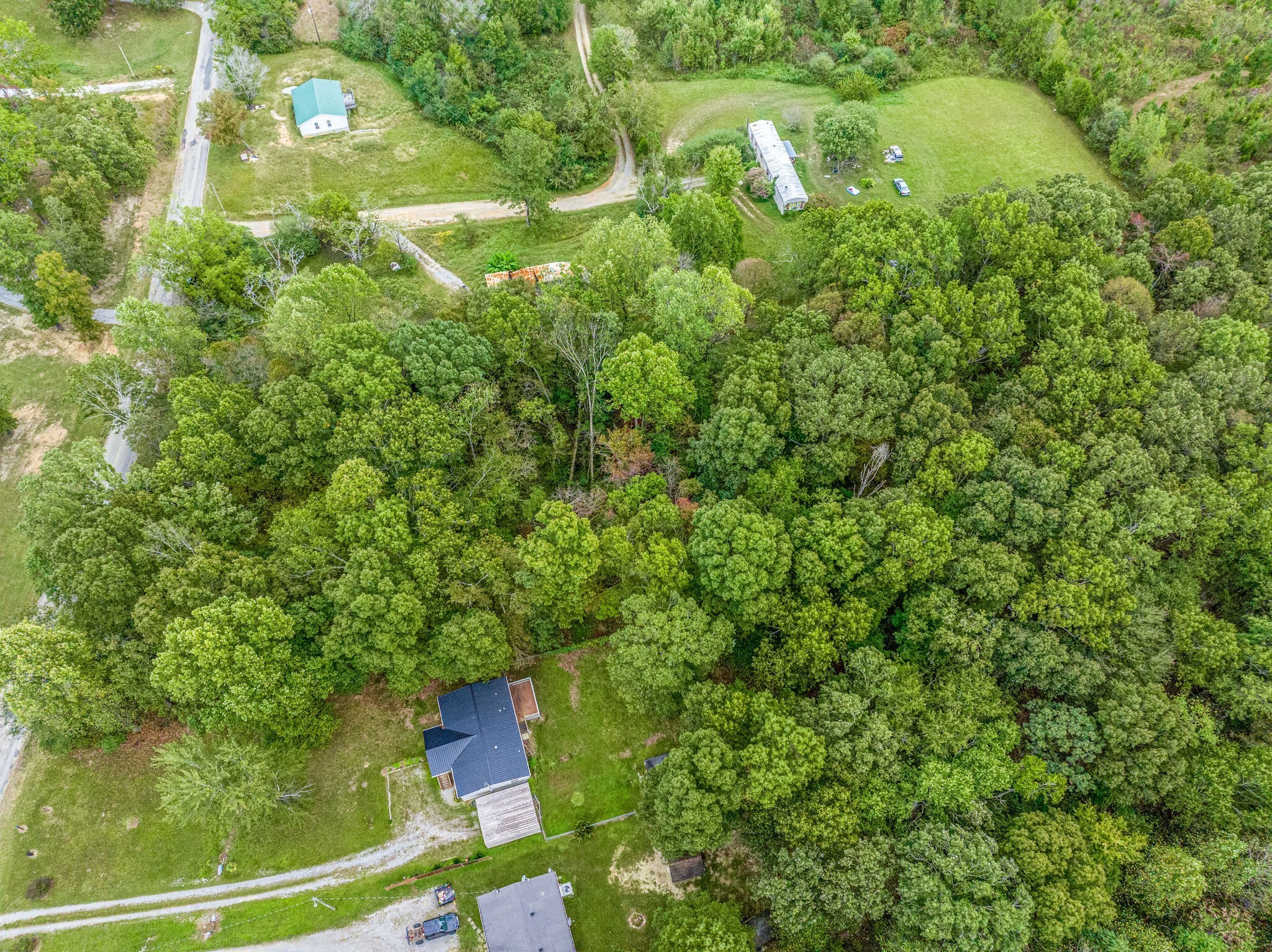 0 Moss Branch Road Bon Aqua, TN 37025 - Photo 9 of 12 a view of a yard