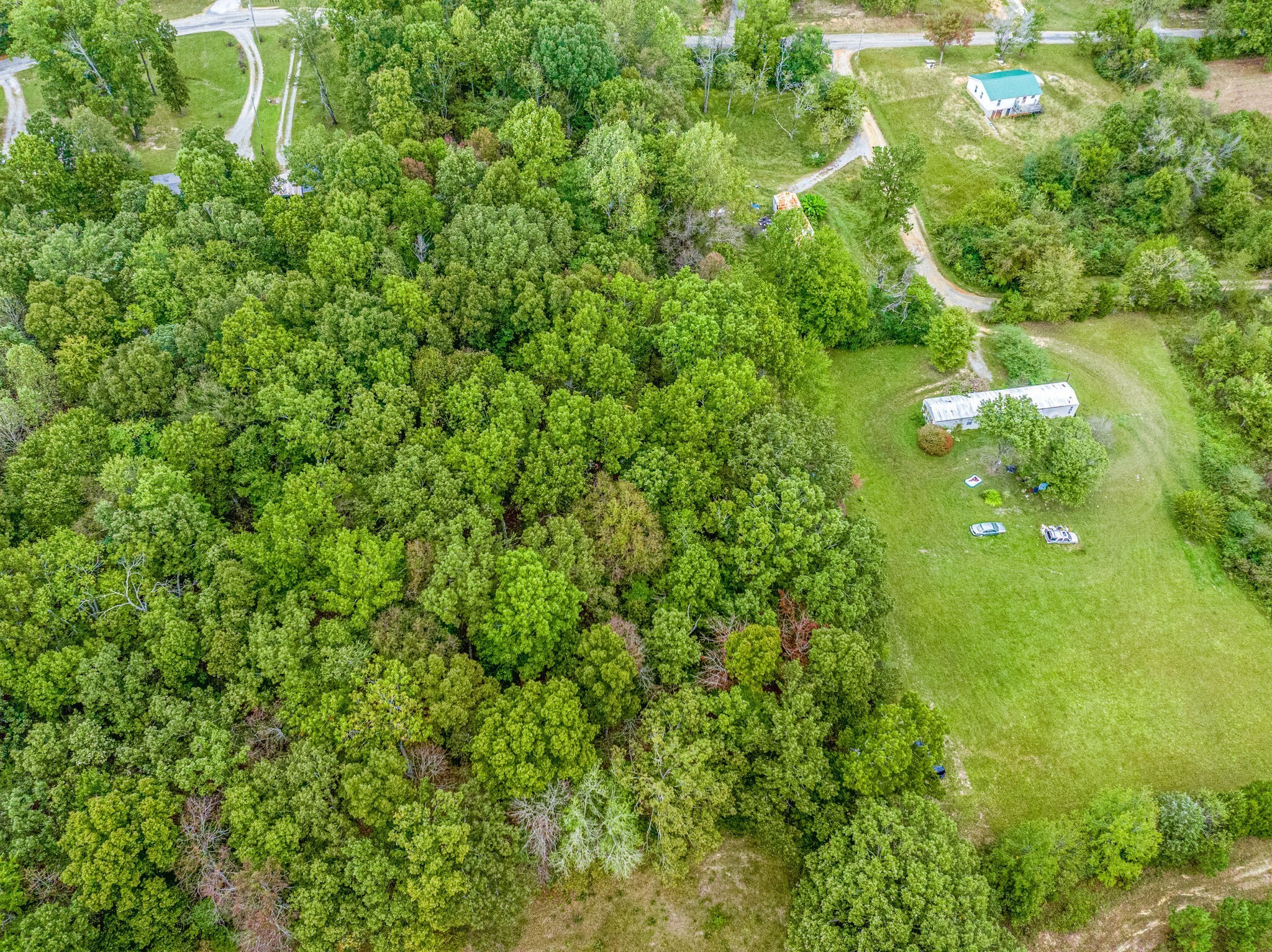 0 Moss Branch Road Bon Aqua, TN 37025 - Photo 10 of 12 a view of a yard