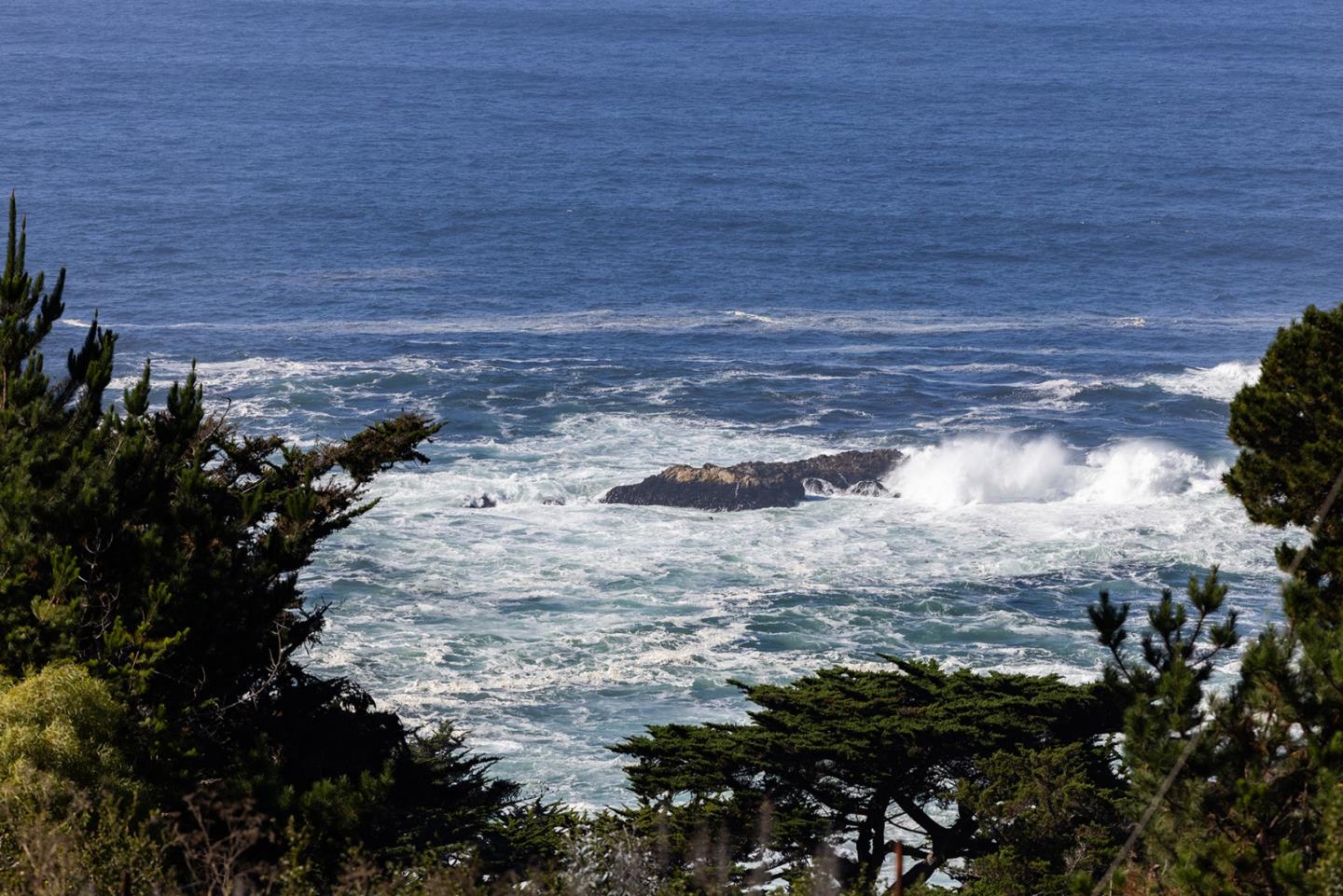 232 Lower Walden Road Carmel, CA 93923 - Photo 11 of 12 a view of a yard with wooden floor