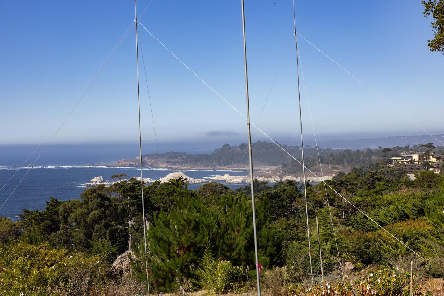 232 Lower Walden Road Carmel, CA 93923 - Photo 9 of 12 a view of a tree in front of a house