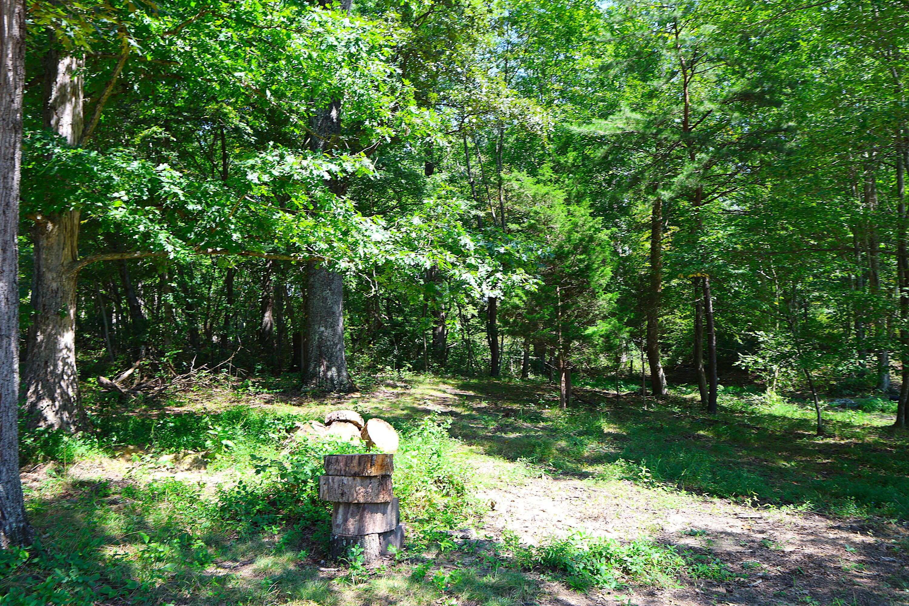 4225 New Irvine Road Waco, KY 40385 - Photo 62 of 67 Wooded Areas