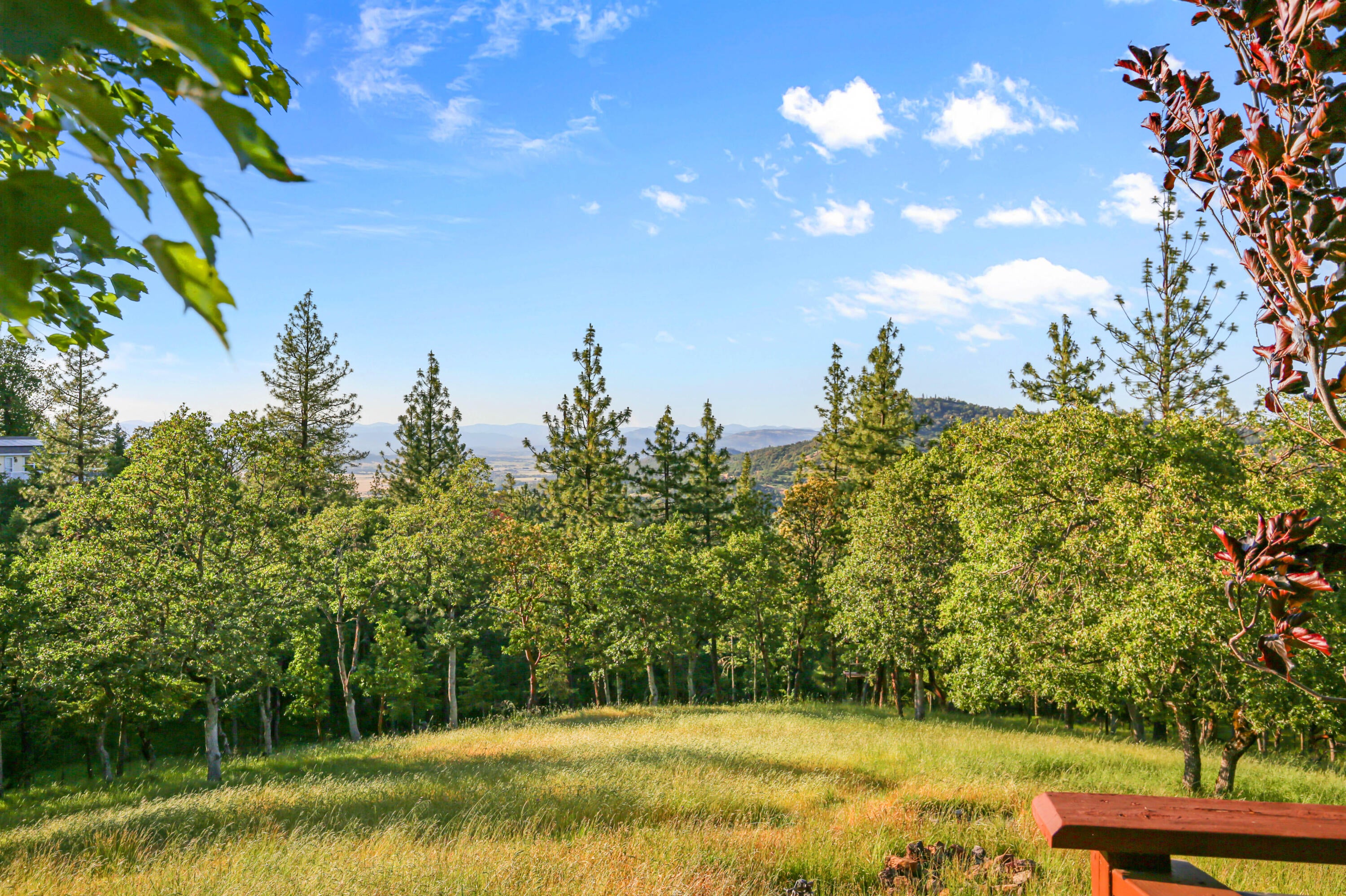 448 Wren Ridge Drive Eagle Point, OR 97524 - Photo 32 of 45 CU9A6461