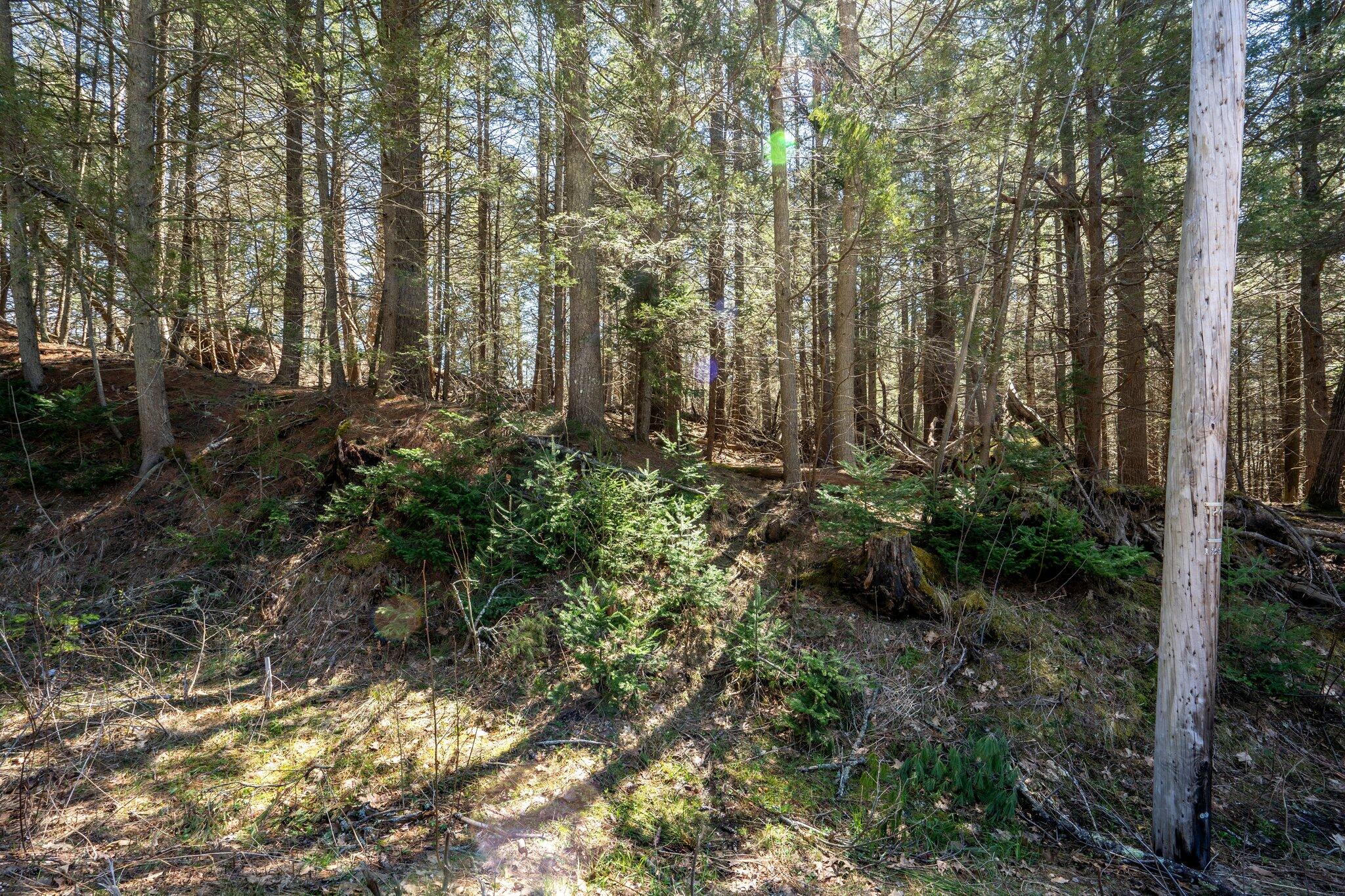 Lot 1 South Freeport Road Freeport, ME 04032 - Photo 31 of 35 37-web-or-mls-DSC04339