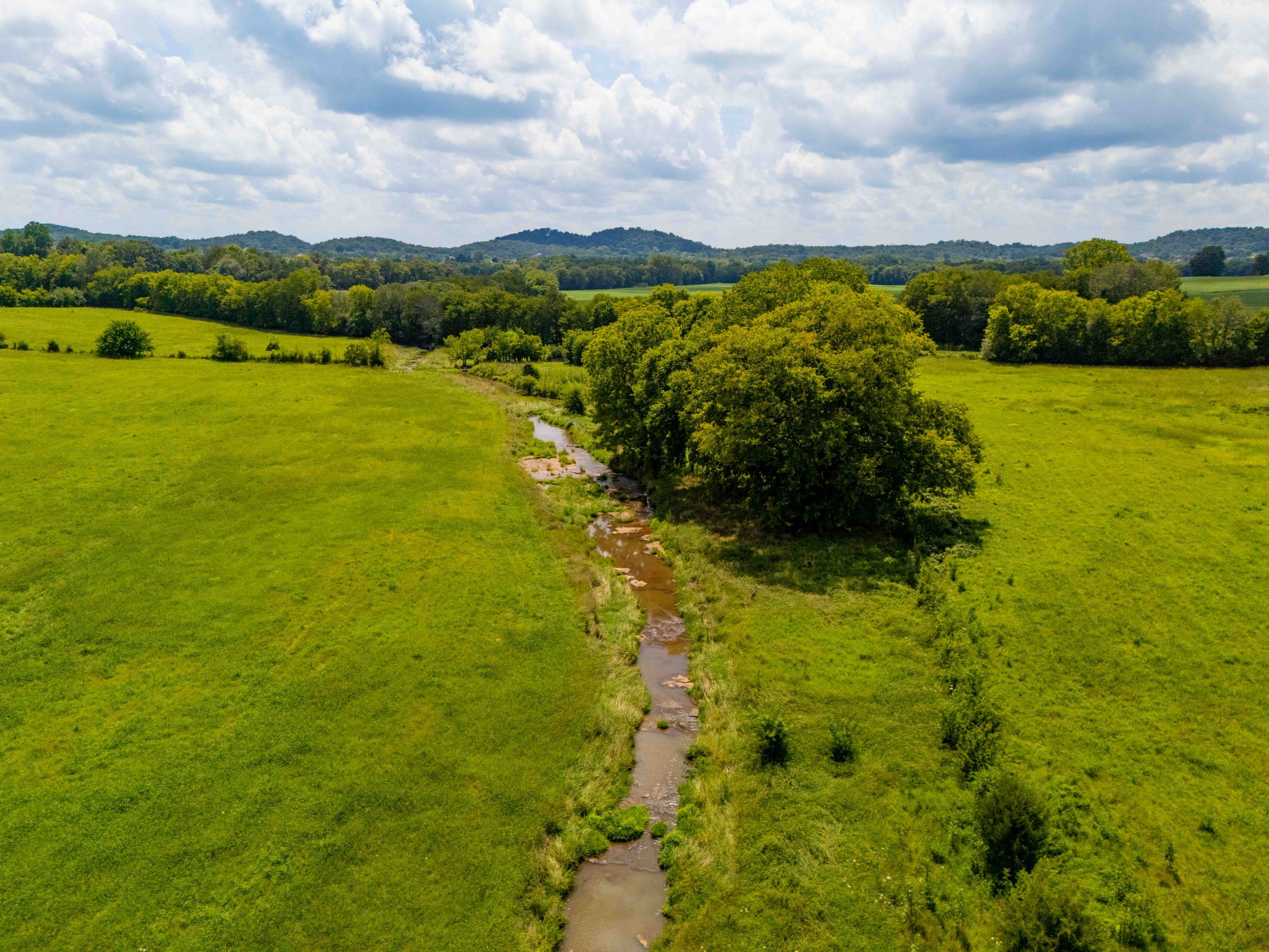 1375 Kittrell Road Franklin, TN 37064 - Photo 11 of 23 Gallery Image 11