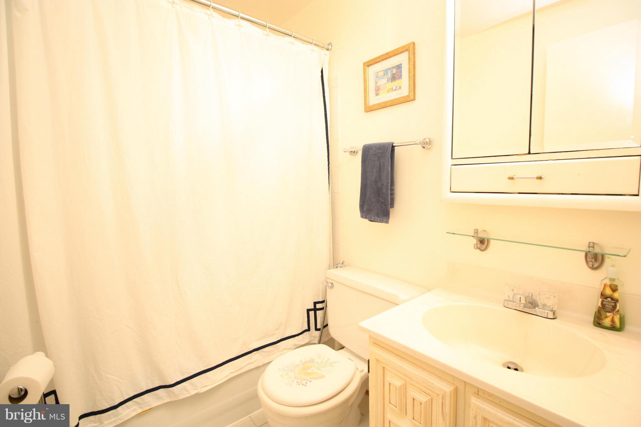 9008 Centerway Road Gaithersburg, MD 20879 - Photo 13 of 27 Bath