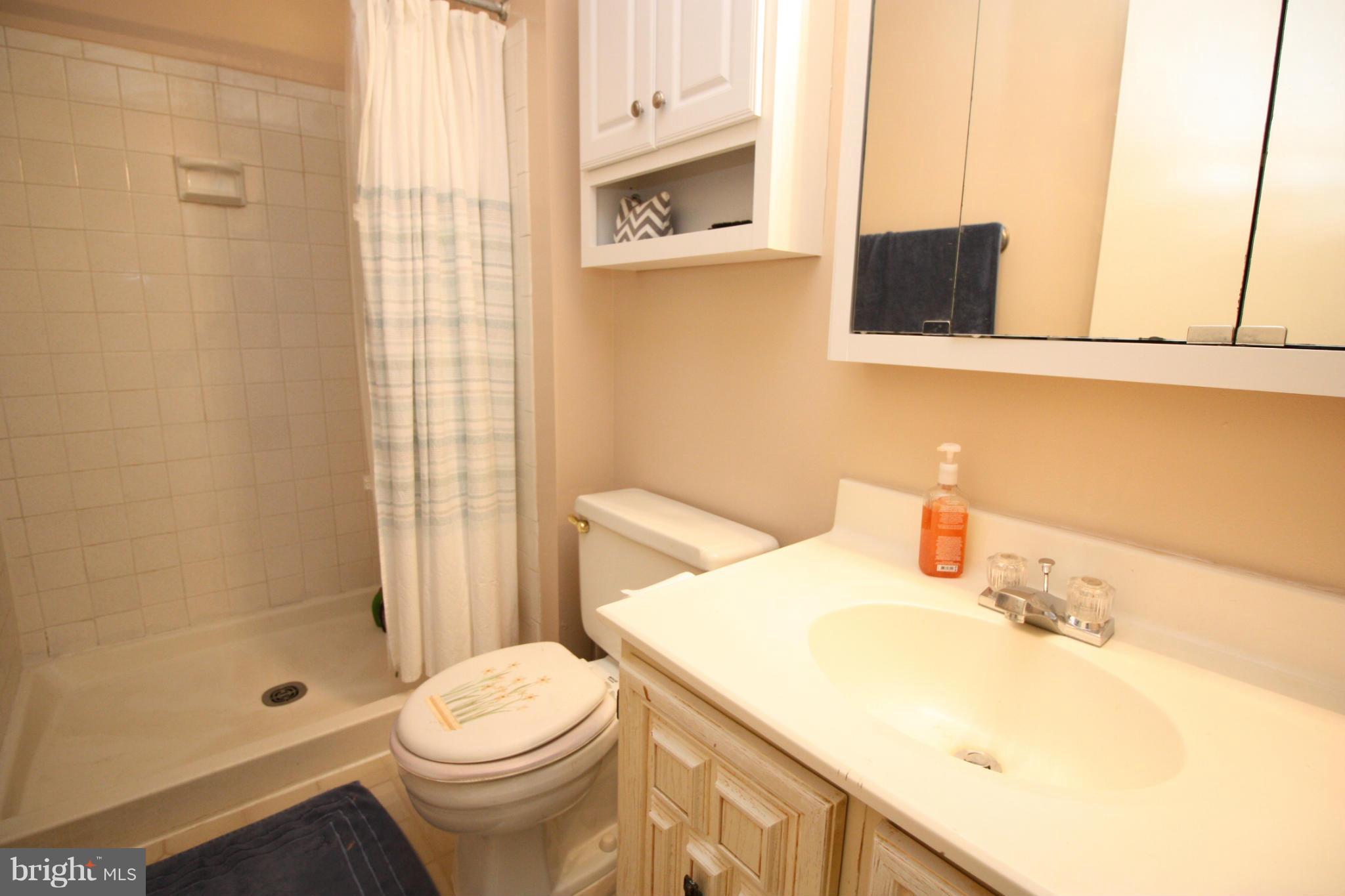 9008 Centerway Road Gaithersburg, MD 20879 - Photo 16 of 27 Bath (Master)