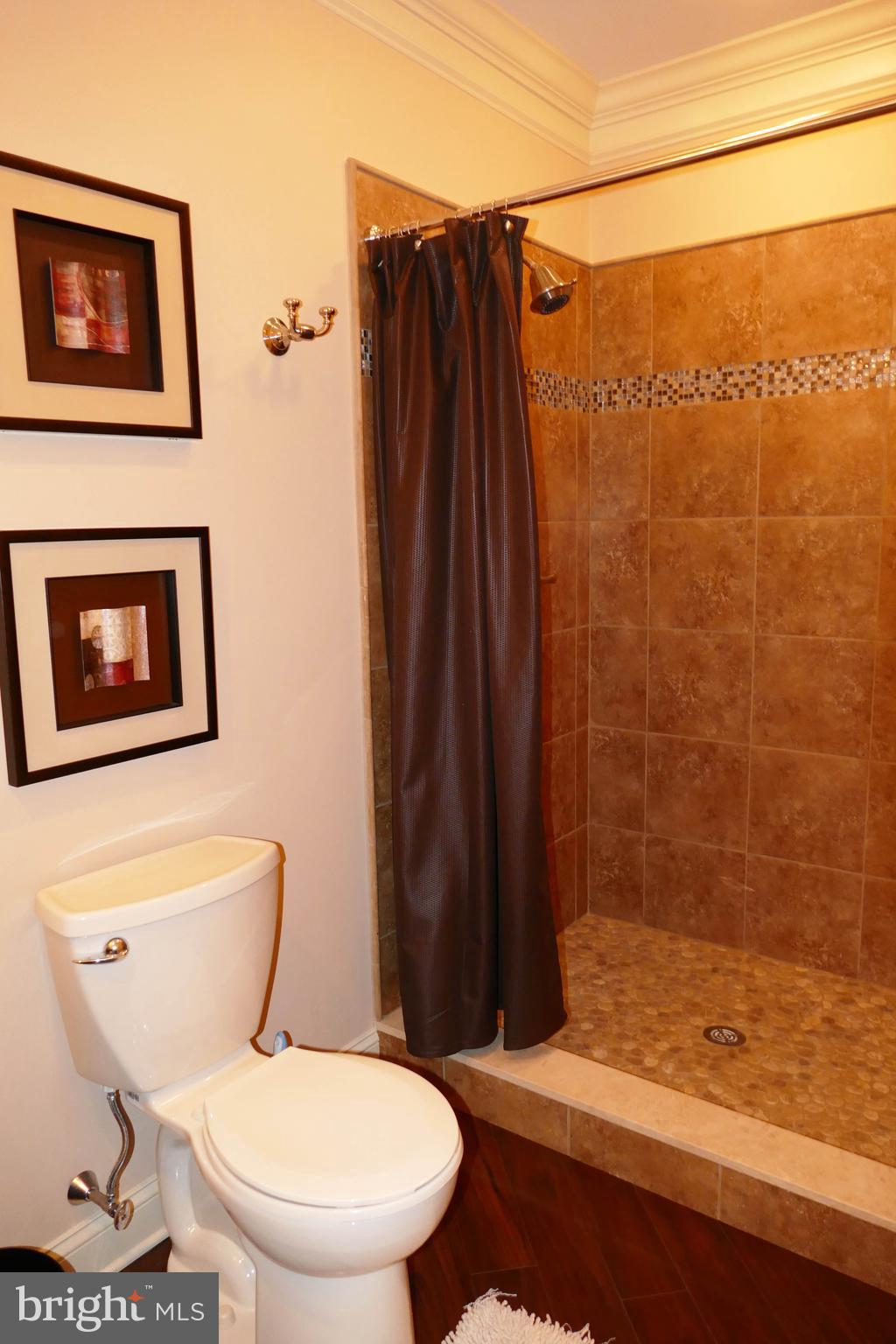 4511 Ridgetop Road Doylestown, PA 18902 - Photo 19 of 58 Full bath in the basement