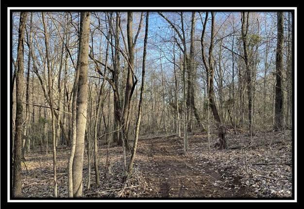 0 Harrison Road, Unit TRACT 5 Jackson, OH 45640 - Photo 36 of 50 image035
