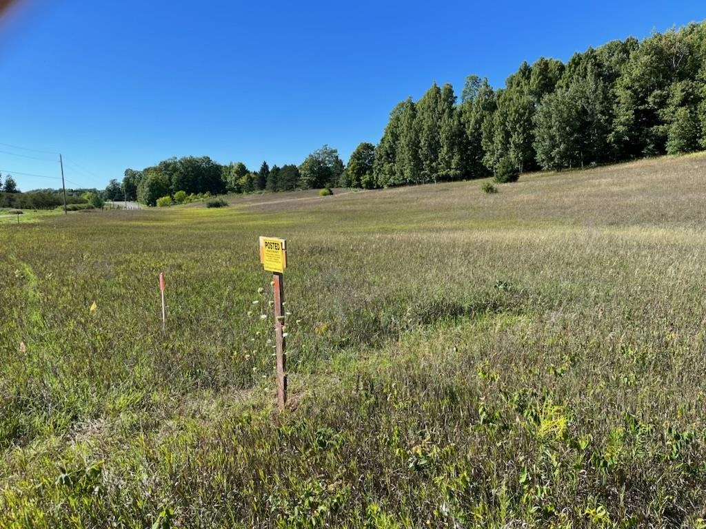 Lot 4 East Lincoln Road Cedar, MI 49621 - Photo 2 of 14