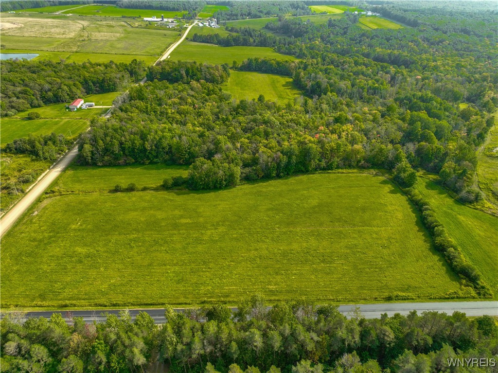 9670 County Road 3 Centerville, NY 14060 - Photo 11 of 44