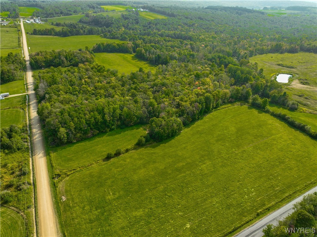 9670 County Road 3 Centerville, NY 14060 - Photo 14 of 44