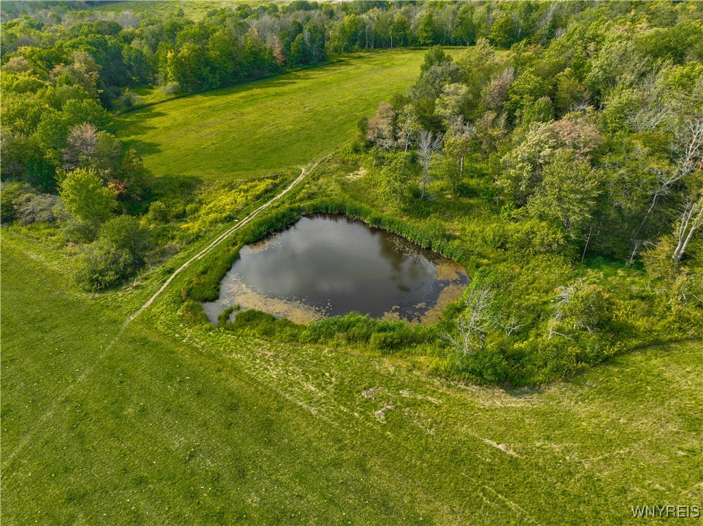 9670 County Road 3 Centerville, NY 14060 - Photo 42 of 44