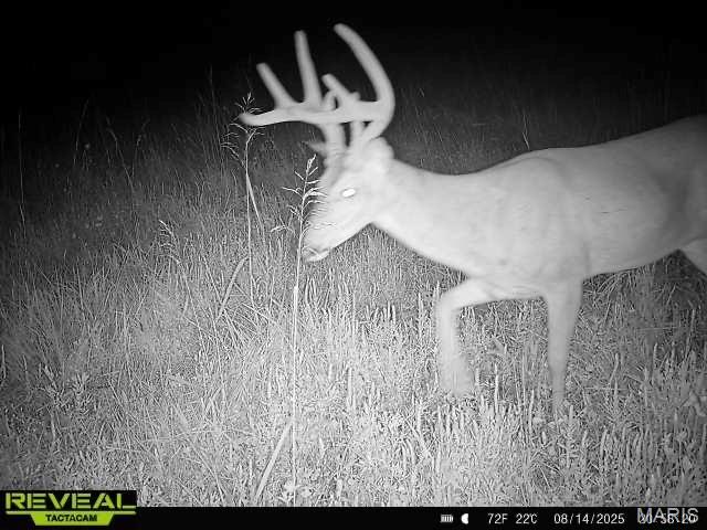 0 Sand Creek Bottom Road Greentop, MO 63546 - Photo 20 of 52